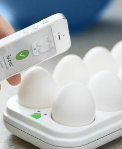 Boite à œuf connectée Egg Minder - Quirky