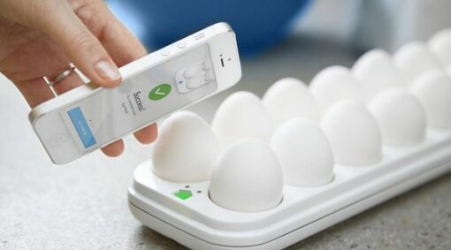 Boite à œuf connectée Egg Minder - Quirky