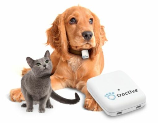 Tracker GPS pour animaux Tractive Pet Tracking - Tractive