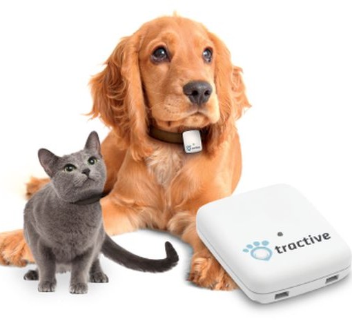 Tracker GPS pour animaux Tractive Pet Tracking - Tractive - tracker