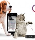 Analyser d'activité pour animaux - Tractive - tracker