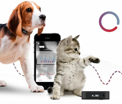Analyser d'activité pour animaux - Tractive