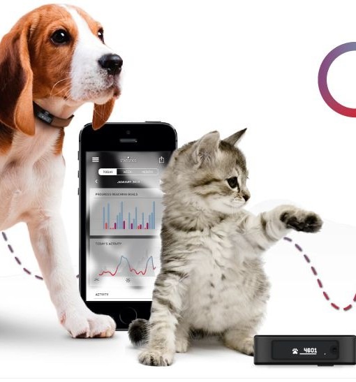 Analyser d'activité pour animaux - Tractive - tracker