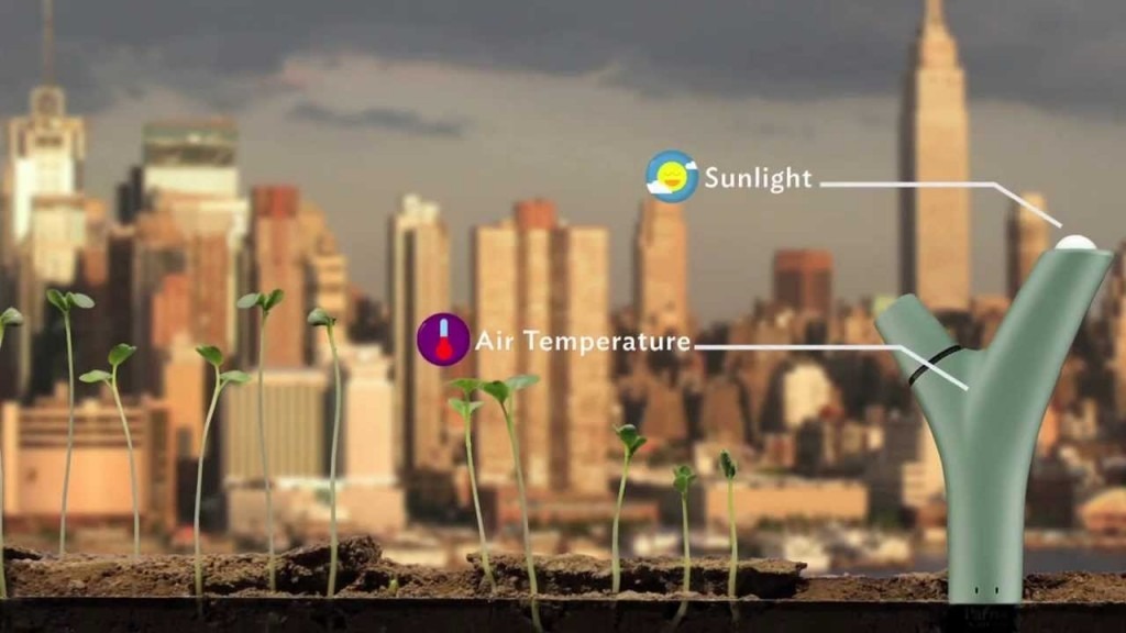 Parrot Flower Power Les capteurs intelligents pour vos plantes Parrot