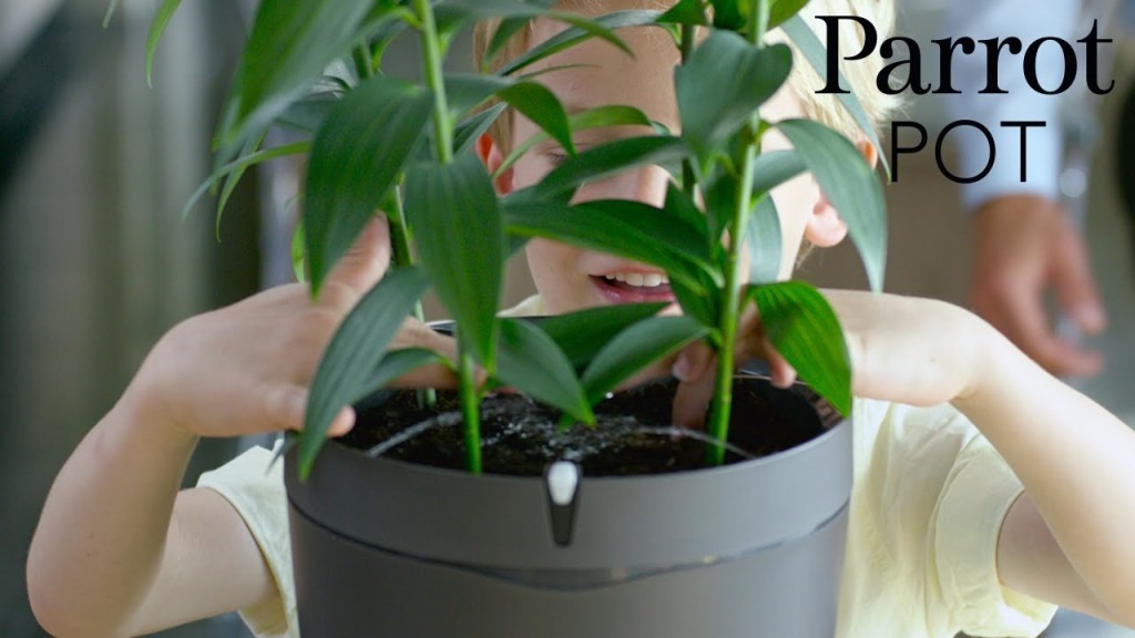 Parrot Pot Pot connecté Parrot
